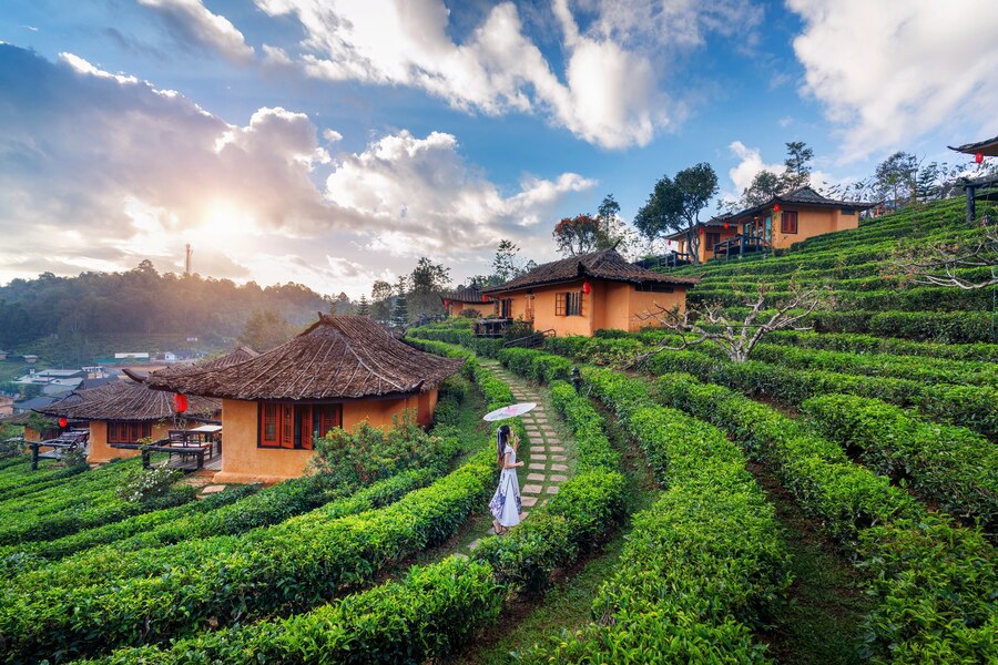 ooty-1