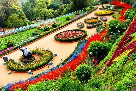 emi-ooty2