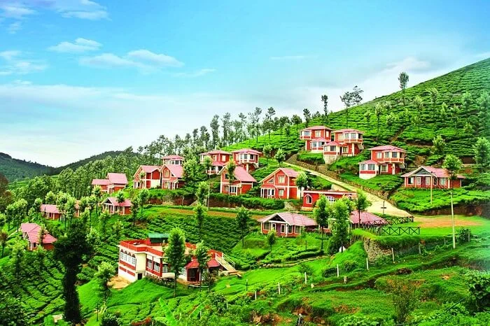 emi-ooty4
