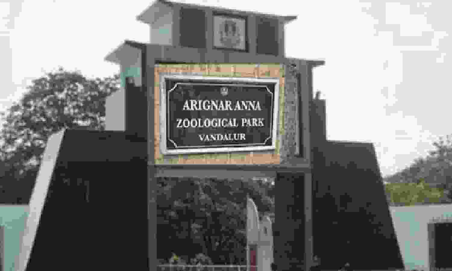 Vandalur Zoo-1