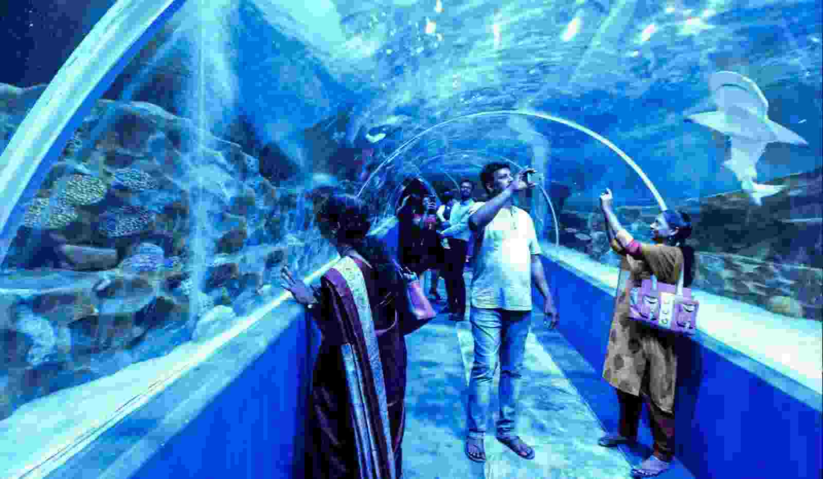 VGP Marine kingdom-2