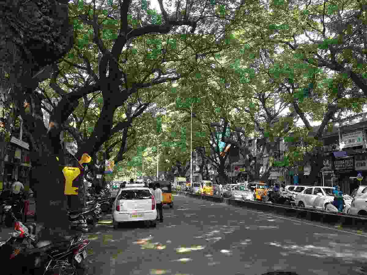 Pondy Bazar3