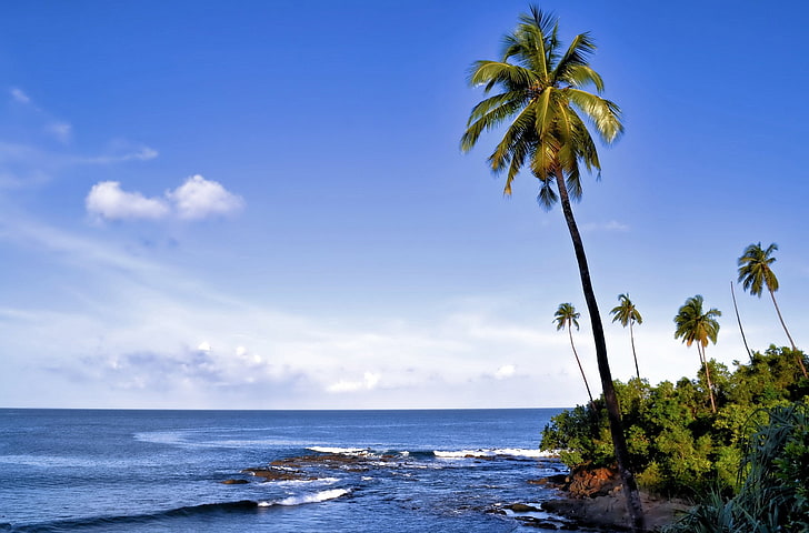 flight-portblair