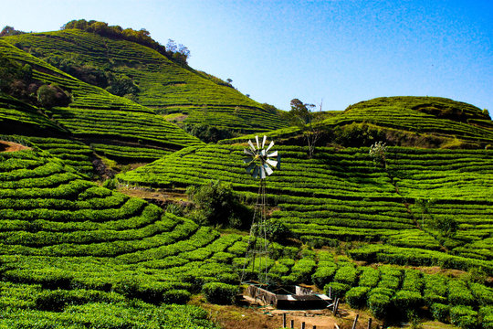 vagamon-2